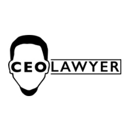 CEO Lawyer Personal Injury Law Firm