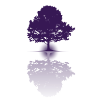 Tolison & Williams, Attorneys at Law, LLC