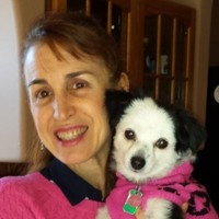 Maria D. Feeney Attorney At Law